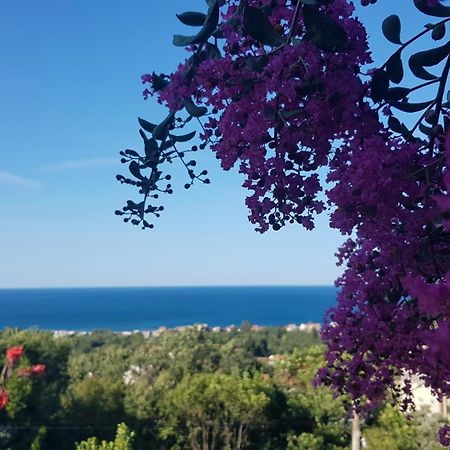 Vila Pogled Petrovac na moru Exterior foto