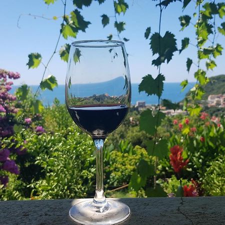 Vila Pogled Petrovac na moru Exterior foto