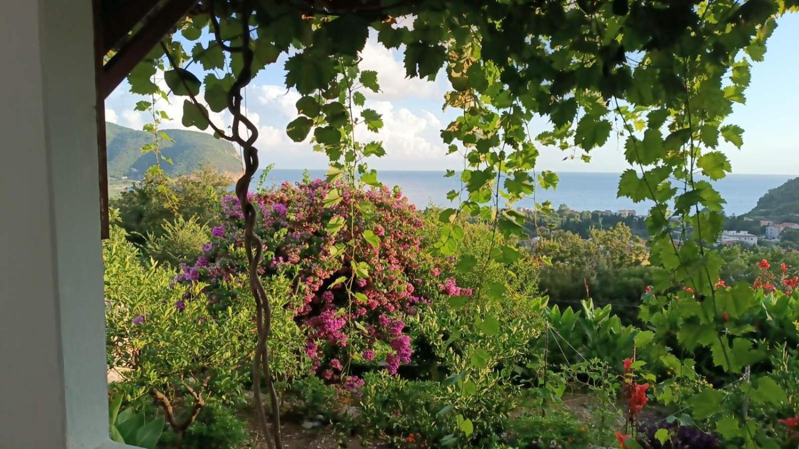 Vila Pogled Petrovac na moru Exterior foto
