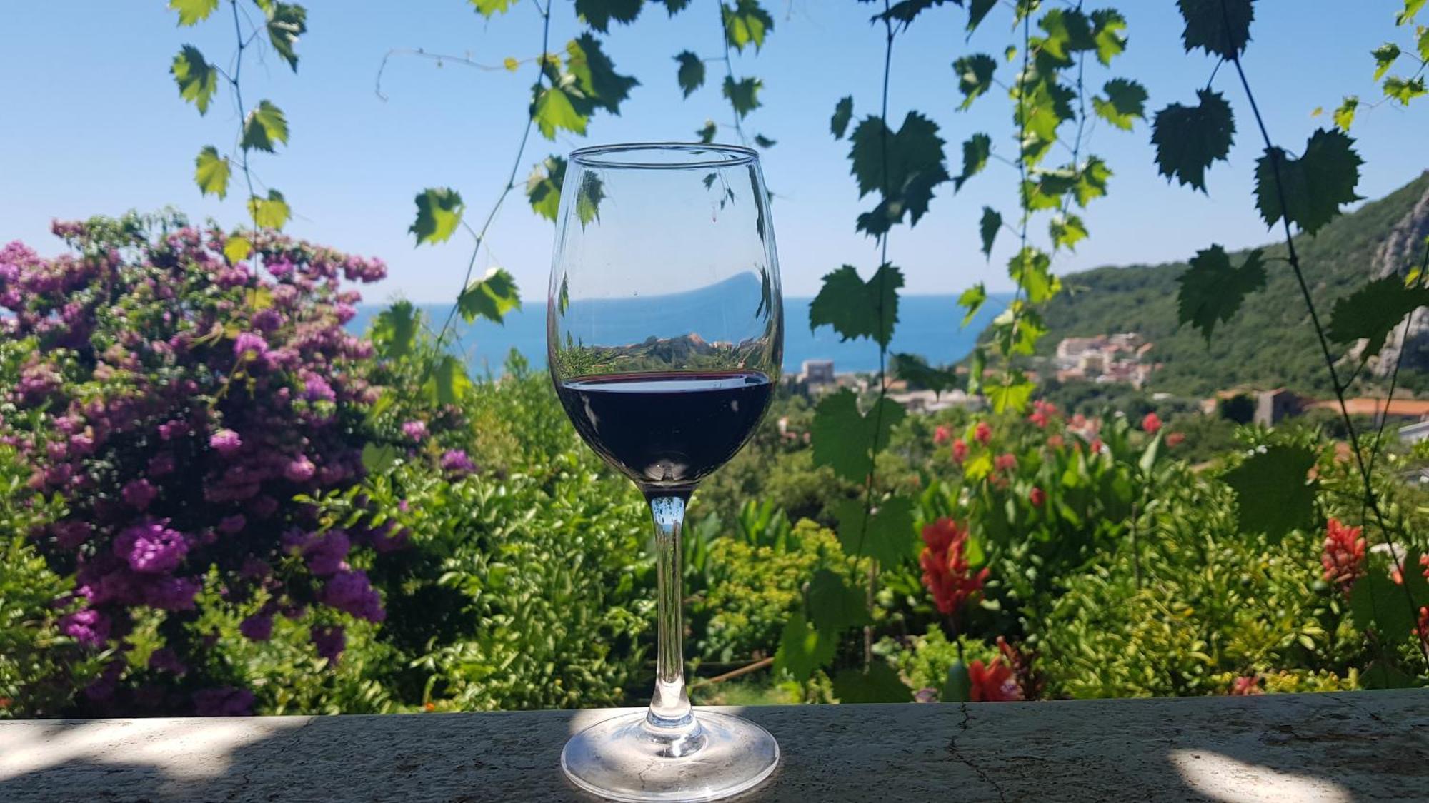 Vila Pogled Petrovac na moru Exterior foto